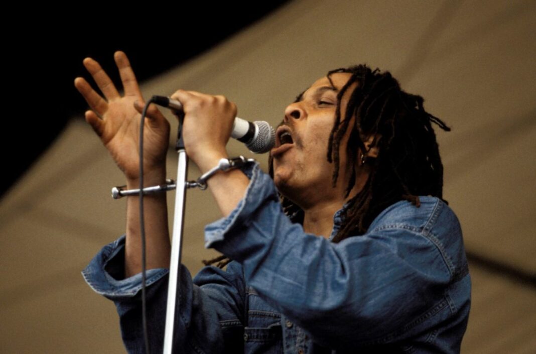 majek fashek